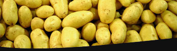 table potatoes